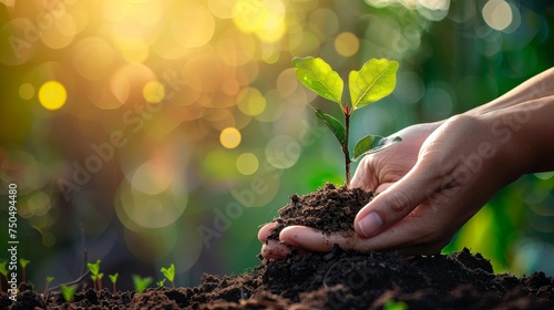 An image of farmer hands planting and nurturing a tree on fertile soil against a green and yellow bokeh background. Protect nature. photo