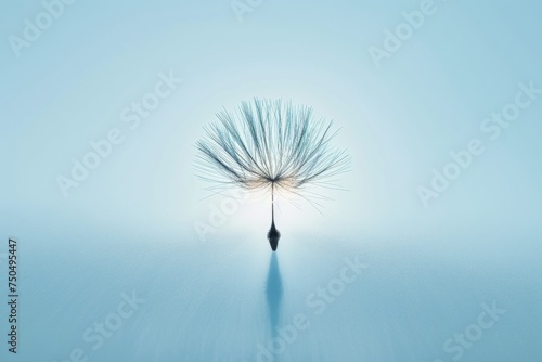 Lone dandelion against a serene blue backdrop  an embodiment of nature s transient beauty and delicate strength