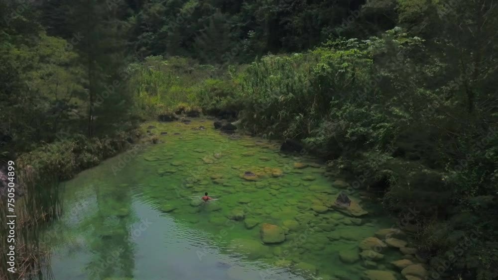 river green in the nature drone shoot river green in the nature drone shoot