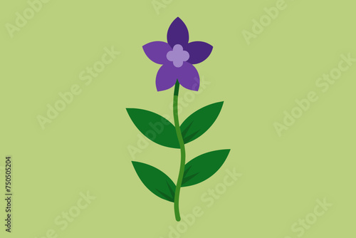 illustration of a flower