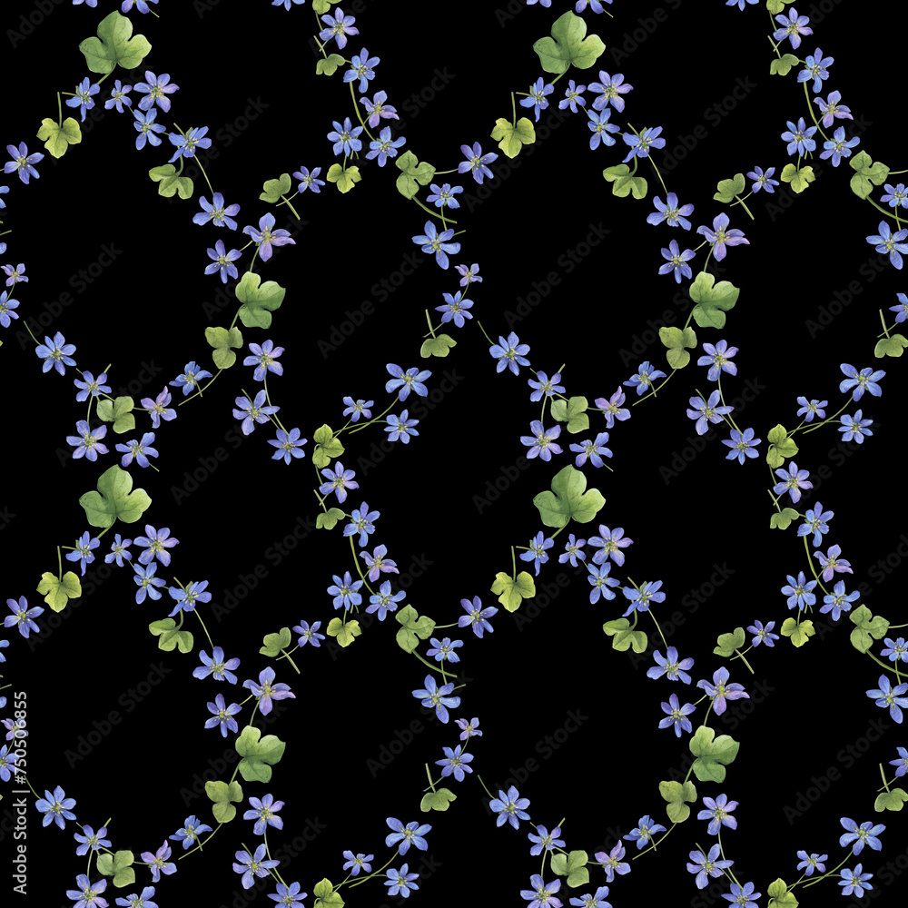 Seamless pattern with flowers of the blue Anemone hepatica (Hepatica nobilis, liverleaf, liverwort, kidneywort, pennywort). Watercolor hand drawn illustration isolated on black background.