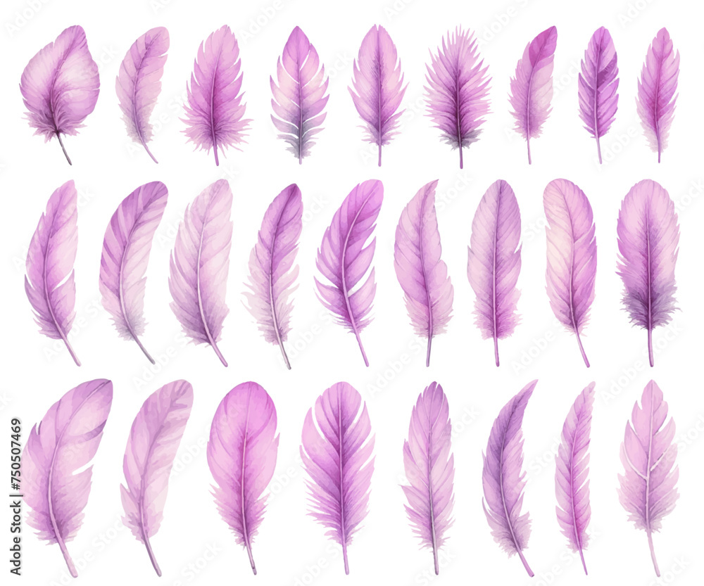 Purple bird feather watercolor illustration material set Purple bird feather watercolor illustration material set