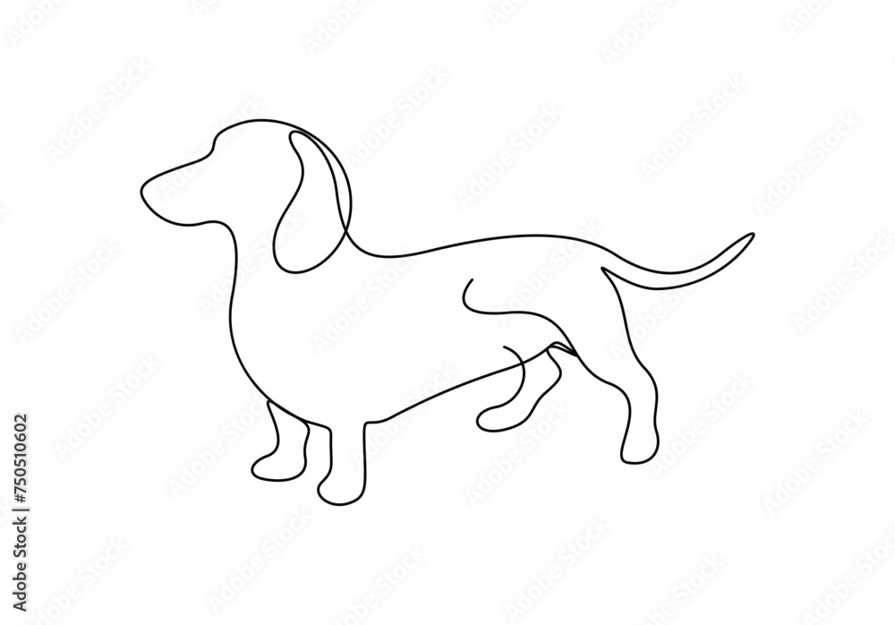 Dachshund dog in one continuous line drawing vector illustration. Premium vector