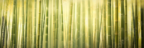 Enchanting Bamboo Forest Imbued with Ethereal Light and Tranquility: Nature's Lush Green Cathedral
