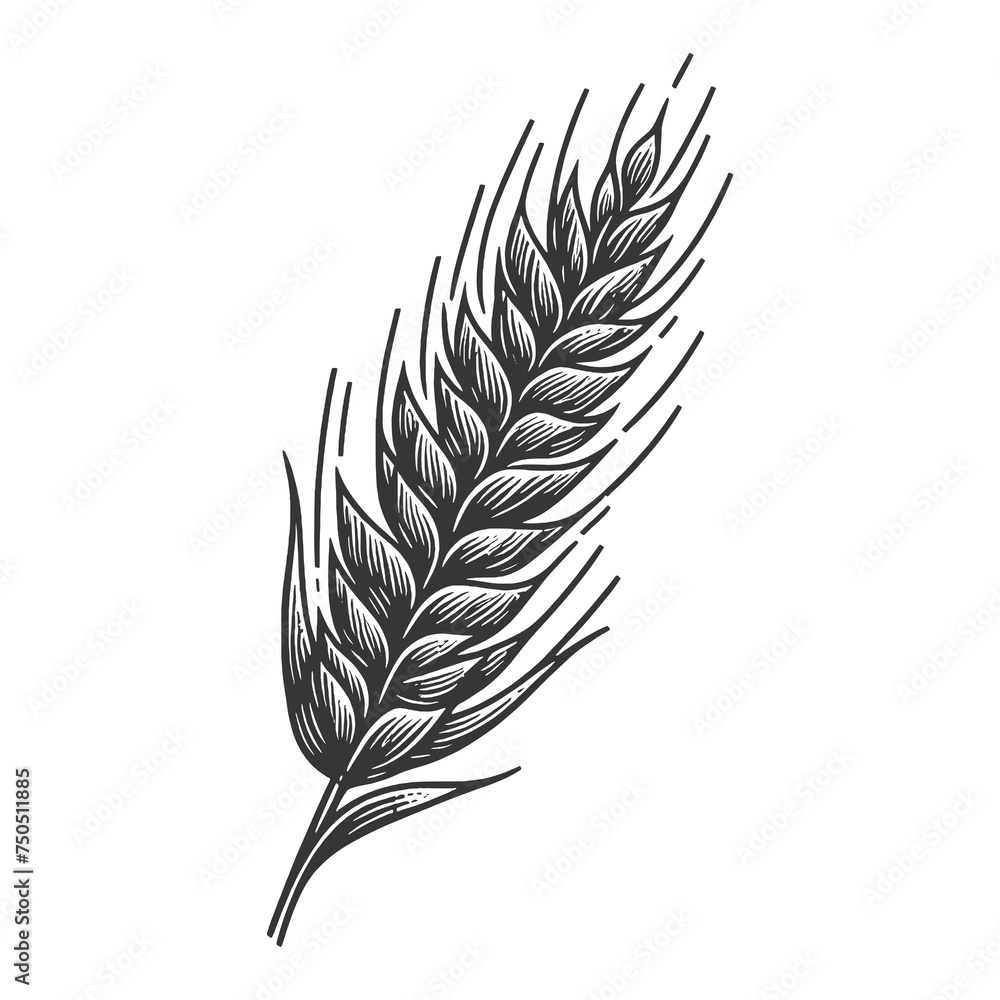 wheat ears leaf sketch line art engraving generative ai raster illustration symbolic of harvest and agriculture. Scratch board imitation. Black and white image. wheat ears leaf sketch line art engraving generative ai raster illustration symbolic of harvest and agriculture. Scratch board imitation. Black and white image.