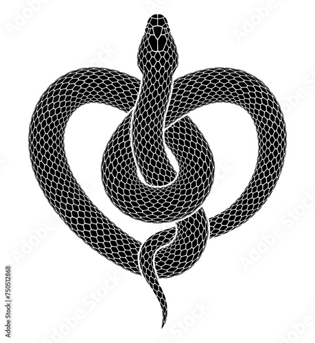 Vector tattoo design of snake curled up in a knot in the form of a heart symbol. Isolated black serpent silhouette.