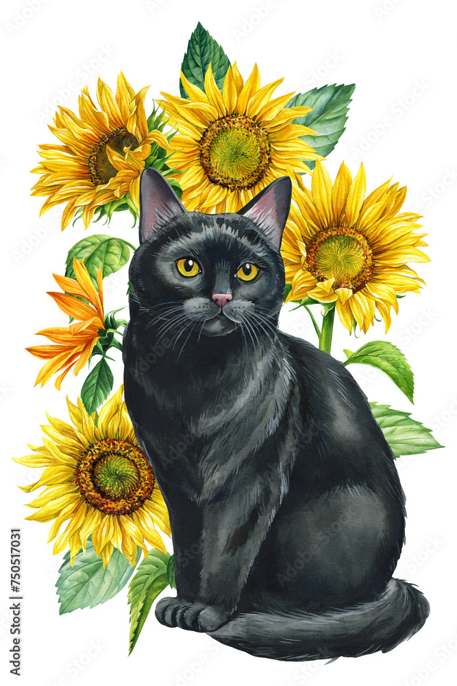 animal with autumn flower, black cat and Sunflower isolated. Watercolor hand drawing poster, design, greeting cards. animal with autumn flower, black cat and Sunflower isolated. Watercolor hand drawing poster, design, greeting cards.