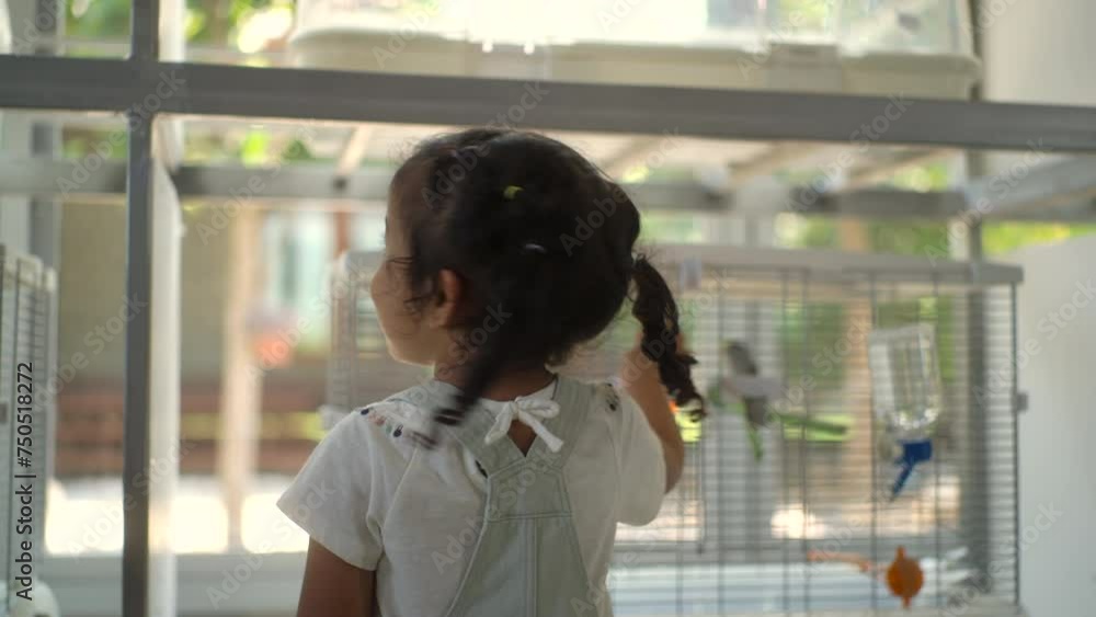 Happy asian children girl playing with bird in cage, smiling of little cute curly girl having fun activity indoor with pet, adorable child and animals at home. Happy asian children girl playing with bird in cage, smiling of little cute curly girl having fun activity indoor with pet, adorable child and animals at home.
