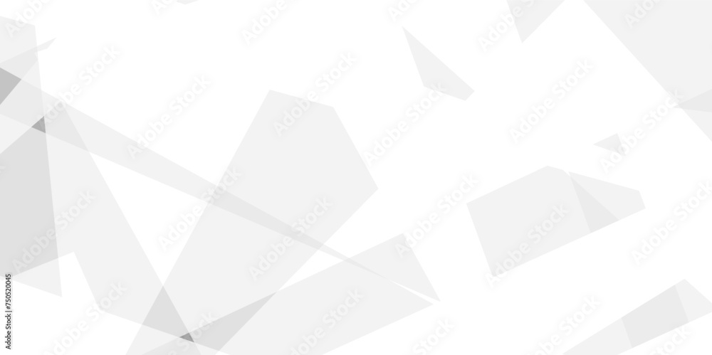Fototapeta premium Abstract background with white and gray and geometric style with simple lines and corners, polygons as background geometric style with simple lines and corners, polygons as background paper texture 
