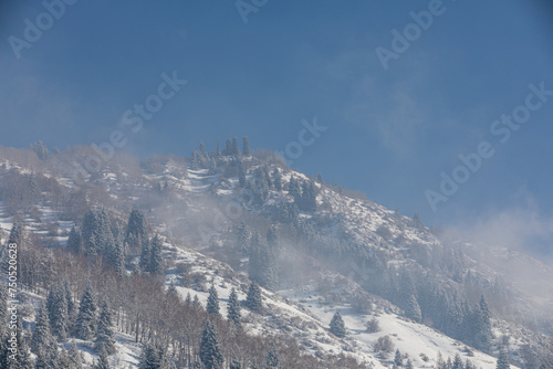 Obraz na płótnie winter mountain landscape w salonie