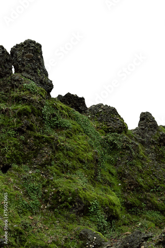 rocks in the mountains covered by moss