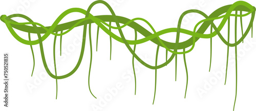 Lianas branch with vines