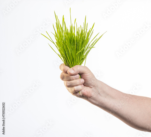 grass in hand