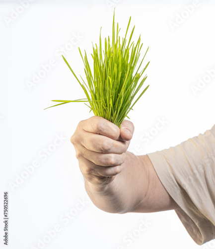 hands holding a green grass