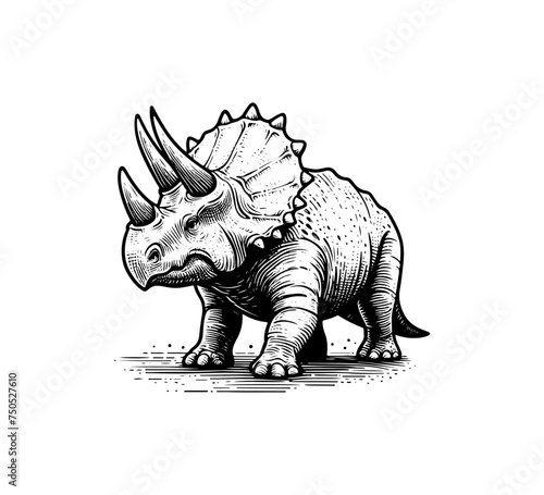 Triceratop Hand drawn illustration vector graphic © AriaMuhammads