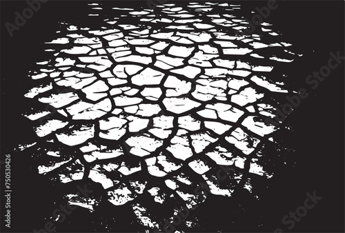 Cracked earth grungy background texture