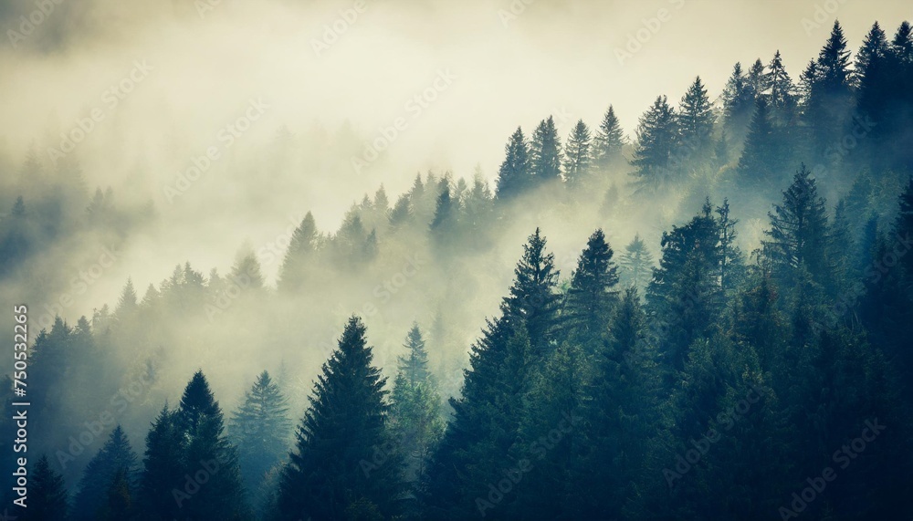 misty landscape with fir forest in vintage retro style