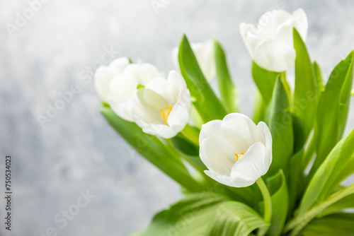 Bouquet of white tulips on a light textured background. Festive bouquet Mothers day, Valentines Day, Birthday celebration concept. Greeting card. Copy space. Place for text.