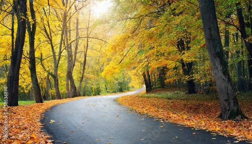 road in autumn park © Kendrick