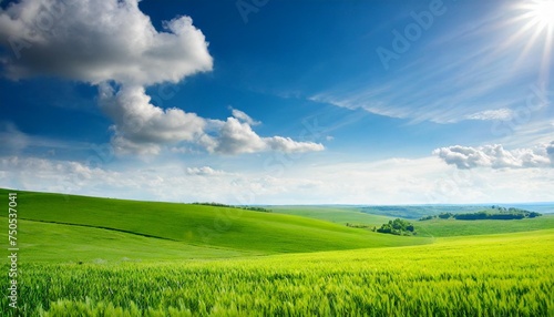 green field and blue sky with clouds