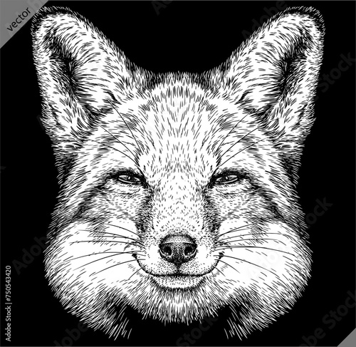 Vintage engraving isolated fox set illustration ink sketch. Wild animal background foxy animal silhouette art. Black and white hand drawn vector image.