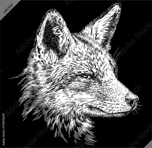 Vintage engraving isolated fox set illustration ink sketch. Wild animal background foxy animal silhouette art. Black and white hand drawn vector image.