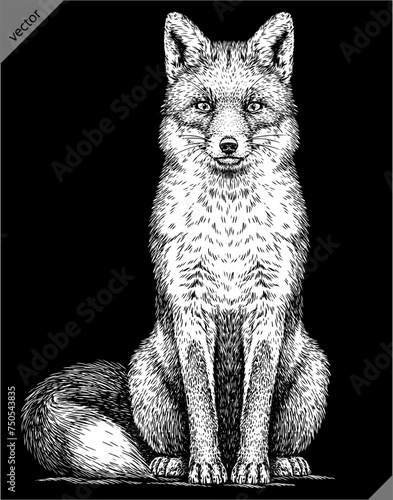 Vintage engraving isolated fox set illustration ink sketch. Wild animal background foxy animal silhouette art. Black and white hand drawn vector image.