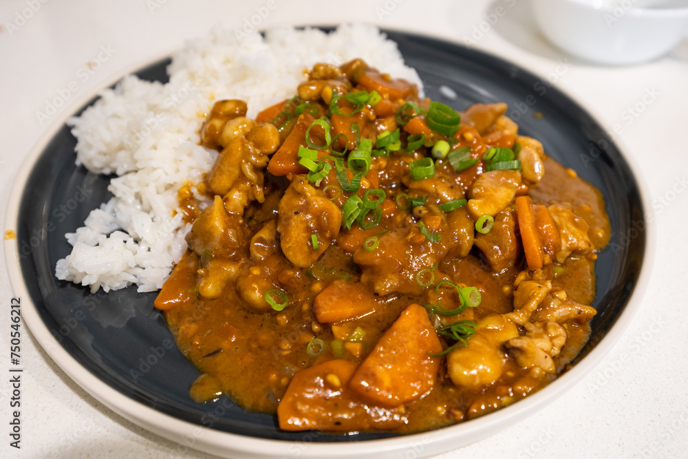 A plate of chicken curry with rice.