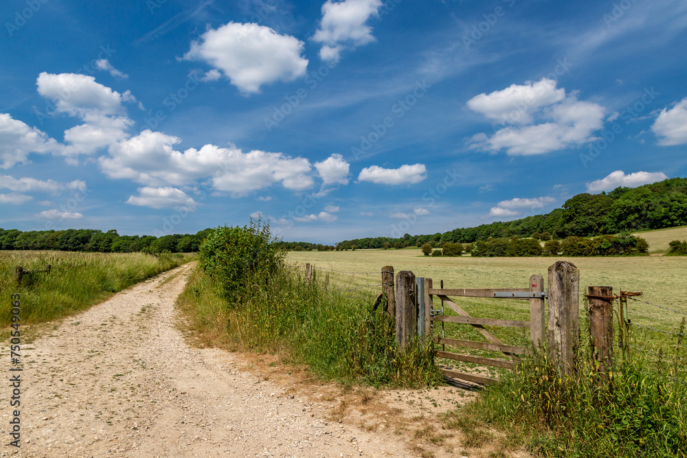 Fototapeta premium A pathway alongside fields near Stanmer in Sussex, with a blue sky overhead