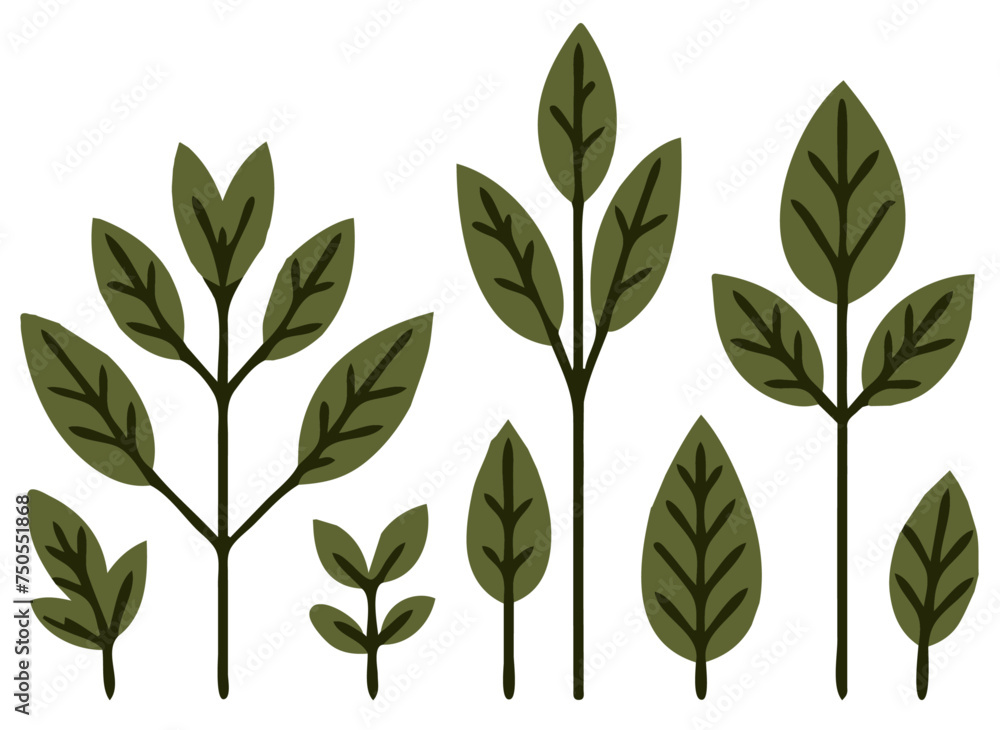 A Captivating Vector Image of Simplified Leaves: Elegant and Natural Leaf Designs for Your Artistic Projects