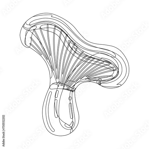 Vector illustration of a wild mushroom. Perfect for nature-themed designs and culinary projects or medecine