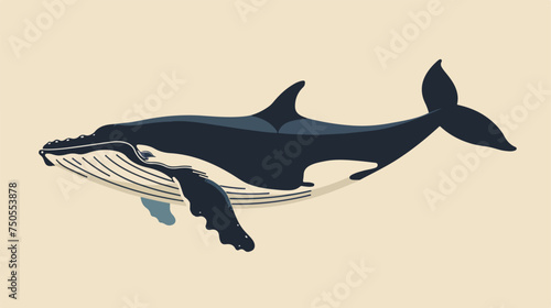 Flat icon whale. Full length Flat vector