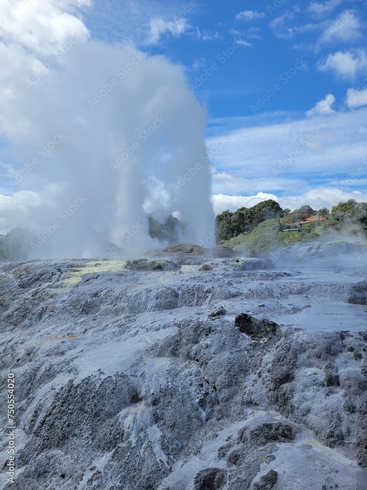 geyser in park national park