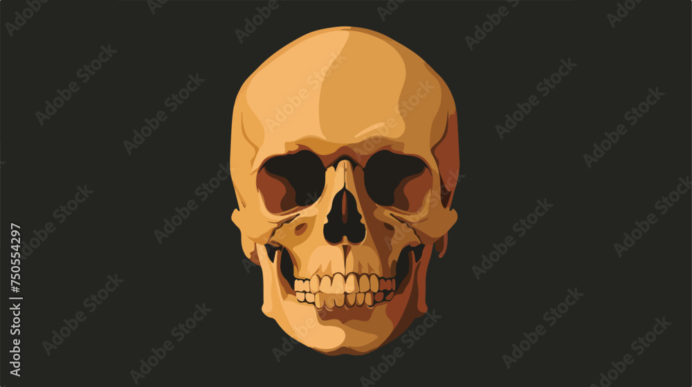 Flat style skull icon in isolated on black background.