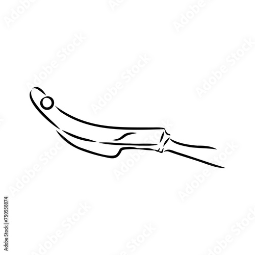 basque pelota vector line icon. playing basque pelota. sport pictogram illustration.