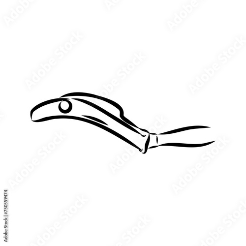 basque pelota vector line icon. playing basque pelota. sport pictogram illustration.