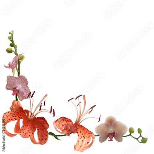 Floral background. Tiger lilies. Orchids. Tropical flowers. Border.