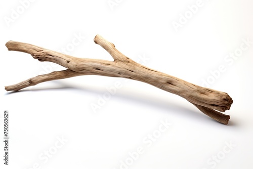 Driftwood Stick Isolated, Sea Wood Branch, Drift Wood