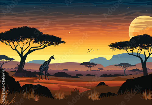 A giraffe is peacefully standing in the middle of a savannah  surrounded by tall grass and scattered trees  under the warm hues of the sunset sky