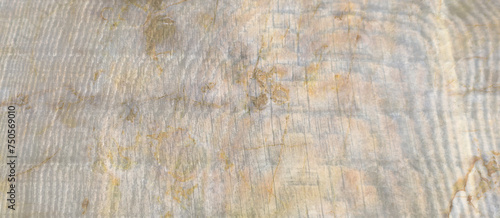 Wallpaper Mural Ancient wood texture background Torontodigital.ca