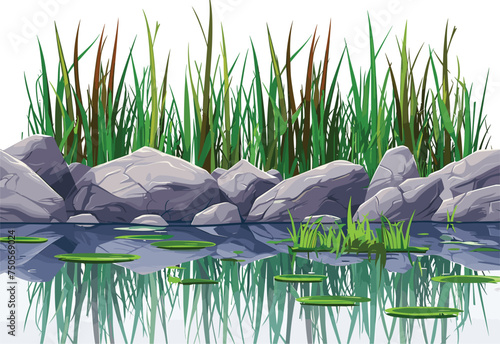A picturesque pond adorned with rocks and lush grass, creating a beautiful natural landscape. Various aquatic plants and organisms thrive in the tranquil water resources