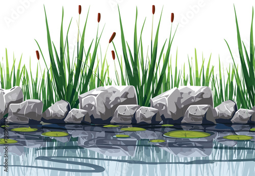 A cartoon illustration of a natural landscape with a pond surrounded by rocks and grass, showcasing terrestrial and aquatic plants in an artful way