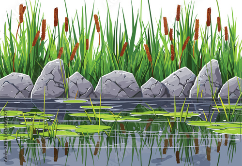 A body of water with rocks and grass along the shore, creating a natural landscape supporting a plant community and vertebrate life