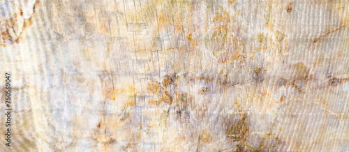 old wood texture