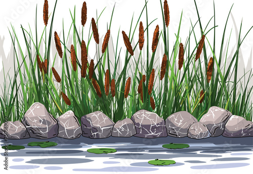 a cartoon illustration of a pond with tall grass and rocks . High quality