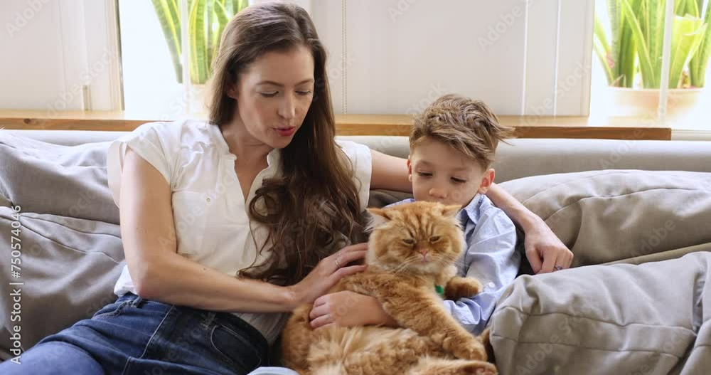 Mother and little son talking relaxing together on couch with fluffy persian purebred cat, stroking animal, having carefree conversation, spend pastime indoor. Family pet lovers communication at home Mother and little son talking relaxing together on couch with fluffy persian purebred cat, stroking animal, having carefree conversation, spend pastime indoor. Family pet lovers communication at home