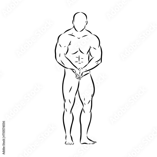 Posing bodybuilder, isolated vector silhouette, ink drawing