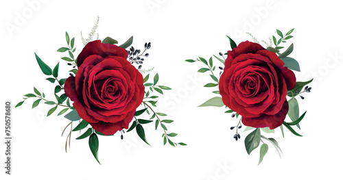 Red rose  burgundy flower with greenery leaves. Vector watercolor editable bouquet illustration. Floral decorative set isolated on white background. Wedding invite  greeting  party designer elements