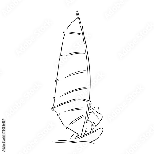 Windsurfing sketch. Vector illustration. windsurfing vector