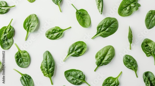 "Assorted fresh spinach leaves on a pure white background. Flat lay composition. Clean eating and organic food concept for design and print."